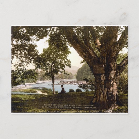 Wicklow Irland, Thomas Moore Avoca Gedicht Postkarte (Vorderseite)