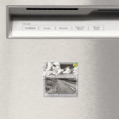 Wicklow Magnet (In Situ (Geschirrspüler))