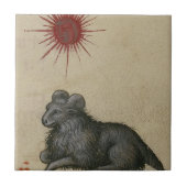 Widder Fliese (Vorderseite)