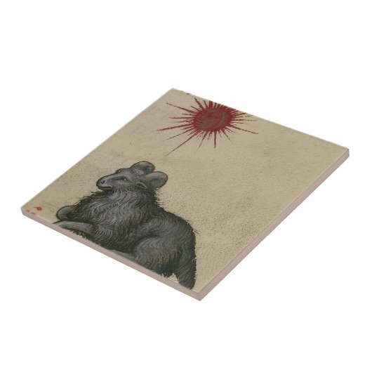 Widder Fliese (Seite)