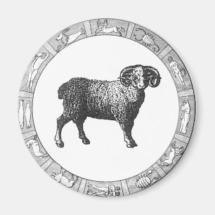 Widder in einem Tierkreis-Ring Magnet