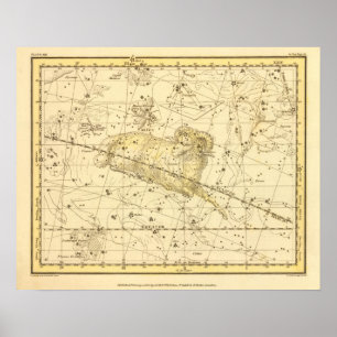 Widder, Musca Borealis Poster