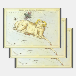 Widder Schaf, Historische Sternbilder, Uranias Spi Geschenkpapier Set