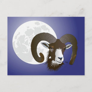 Widder Sternzeichen Postkarte