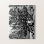 Wide Angle Sequioa Tree Trunk - 11x14 - 252 Stk. Puzzle (Vertikal)