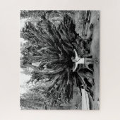 Wide Angle Sequioa Tree Trunk - 16x20 - 520 Stk. Puzzle (Vertikal)