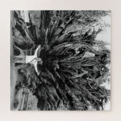 Wide Angle Sequioa Tree Trunk - 20x20 - 676 Stk. Puzzle (Horizontal)