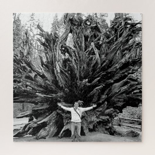 Wide Angle Sequioa Tree Trunk - 20x20 - 676 Stk. Puzzle (Vertikal)