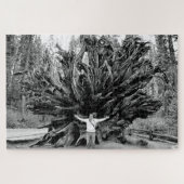 Wide Angle Sequioa Tree Trunk - 20x30 - 1014 Stk. Puzzle (Horizontal)