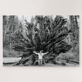 Wide Angle Sequioa Tree Trunk - 20x30 - 1014 Stk. Puzzle