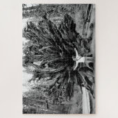 Wide Angle Sequioa Tree Trunk - 20x30 - 1014 Stk. Puzzle (Vertikal)