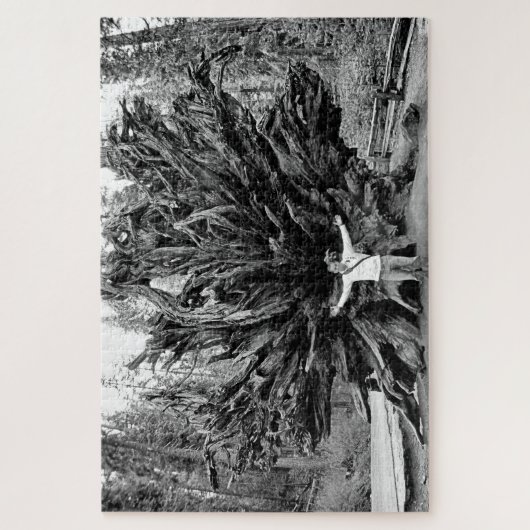 Wide Angle Sequioa Tree Trunk - 20x30 - 1014 Stk. Puzzle (Vertikal)