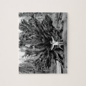 Wide Angle Sequioa Tree Trunk - 8x10 - 110 Stk. Puzzle (Vertikal)