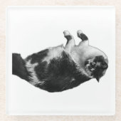 Wide-Eyes Cat Dreh Untersetzer (Vorderseite)