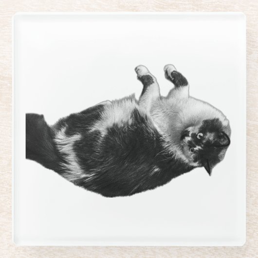 Wide-Eyes Cat Dreh Untersetzer (Vorderseite)