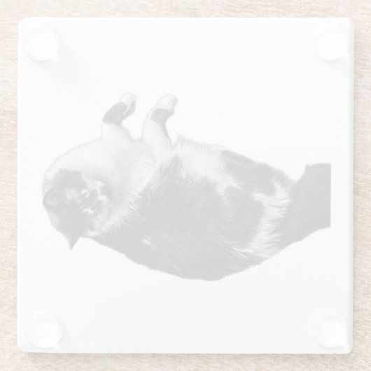 Wide-Eyes Cat Dreh Untersetzer (Rückseite)