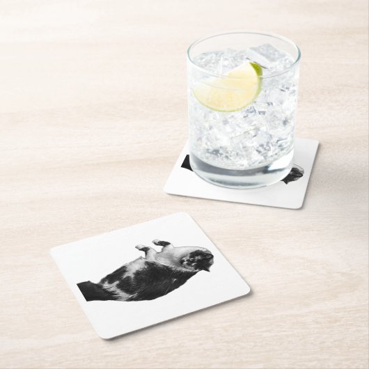 Wide-Eyes Cat Dreh Untersetzer (Vor Ort)