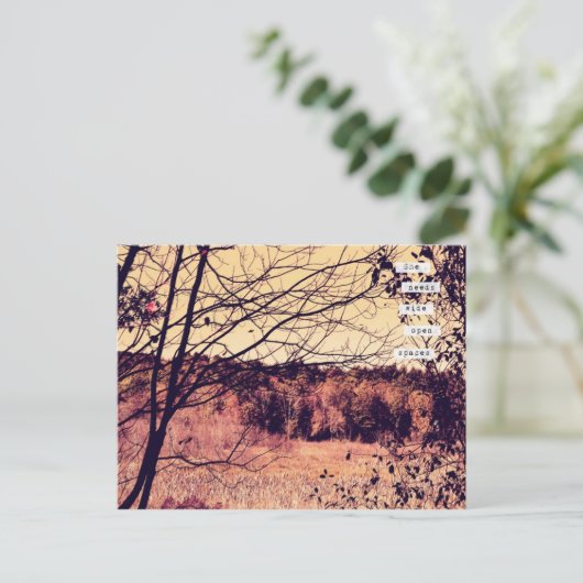 Wide Open Space II Postkarte (Stehend Vorderseite)