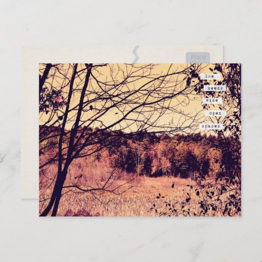 Wide Open Space II Postkarte (Vorne/Hinten)