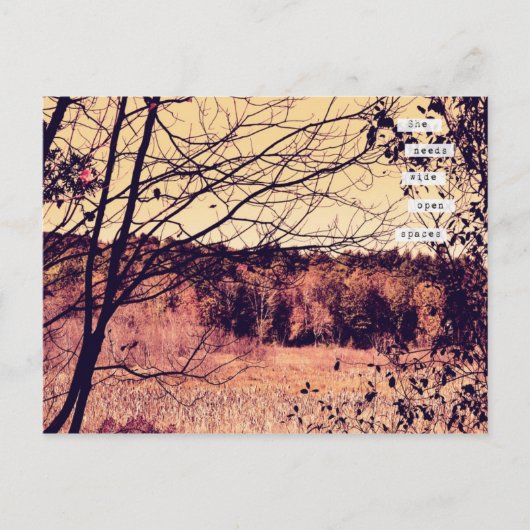 Wide Open Space II Postkarte (Vorderseite)