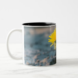 Widerstandsfähige Löwenzahn Zweifarben-Kaffeetasse Zweifarbige Tasse