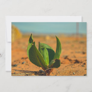 Widerstandsfähigkeit Feiertagskarte