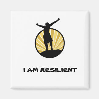 Widerstandsfähigkeit Magnet