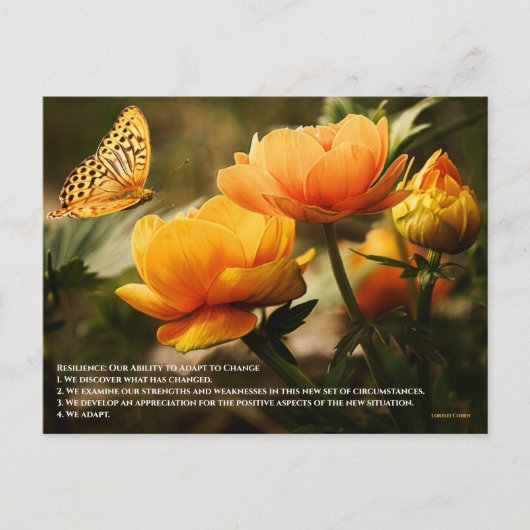Widerstandsfähigkeit: Unsere Fähigkeit, sich an de Postkarte (Vorderseite)