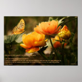 Widerstandskraft Poster (Vorne)