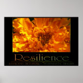 Widerstandskraft Poster (Vorne)