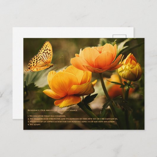 Widerstandskraft Postkarte (Vorne/Hinten)