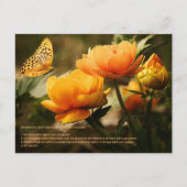 Widerstandskraft Postkarte (Vorderseite)