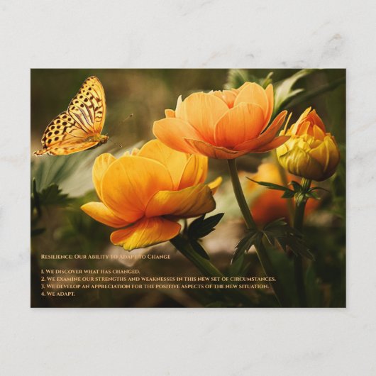 Widerstandskraft Postkarte (Vorderseite)