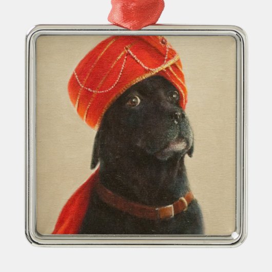 Widerstrebender Maharadscha 2010 Silbernes Ornament (Vorne)