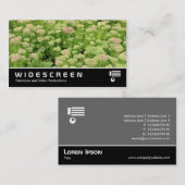 Widescreen 0424 - Sedum (Herbstfreude) Visitenkarte (Vorne/Hinten)
