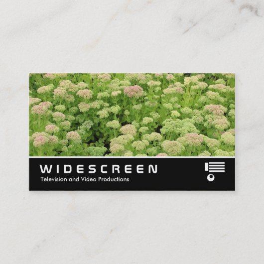 Widescreen 0424 - Sedum (Herbstfreude) Visitenkarte (Vorderseite)