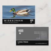 Widescreen 0441 - Mallard Duck Visitenkarte (Vorne/Hinten)