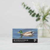 Widescreen 0441 - Mallard Duck Visitenkarte (Stehend Vorderseite)