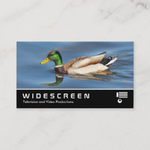Widescreen 0441 - Mallard Duck Visitenkarte
