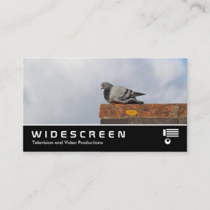 Widescreen 0466 - Good Morning Pigeon Visitenkarte