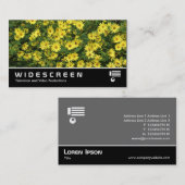 Widescreen 0469 - Gelbe Daisies Visitenkarte (Vorne/Hinten)