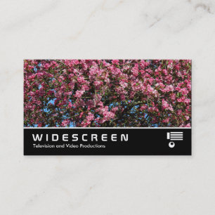 Widescreen 0473 - Pink Cherry Blossom Visitenkarte