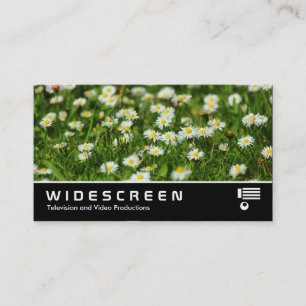 Widescreen 0474 - Daisies Visitenkarte