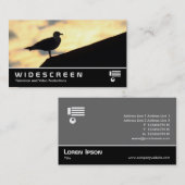 Widescreen 0475 - Hering Gull Sunset Visitenkarte (Vorne/Hinten)