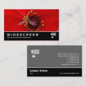 Widescreen 145 - Hover Fly on a Dahlia Visitenkarte (Vorne/Hinten)