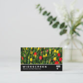 Widescreen 206 - Farbenfrohe Tulips Visitenkarte (Stehend Vorderseite)