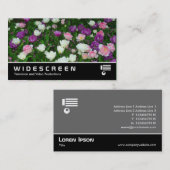 Widescreen 221 - Farbenfrohe Tulips Visitenkarte (Vorne/Hinten)