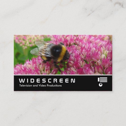 Widescreen 349 - Hummel auf Sedum Visitenkarte (Vorderseite)