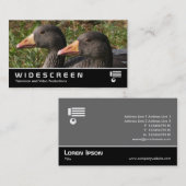 Widescreen 354 - Graugänse Visitenkarte (Vorne/Hinten)