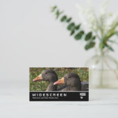 Widescreen 354 - Graugänse Visitenkarte (Stehend Vorderseite)